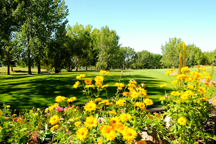 image of flowers on course