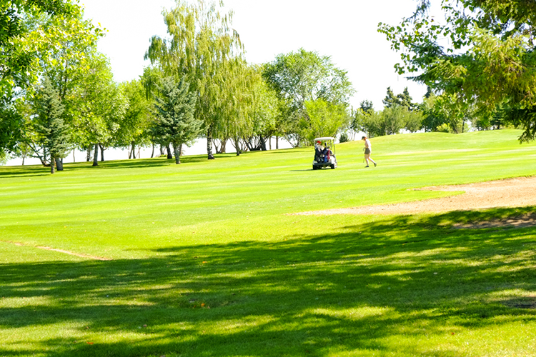 image of golfers on green